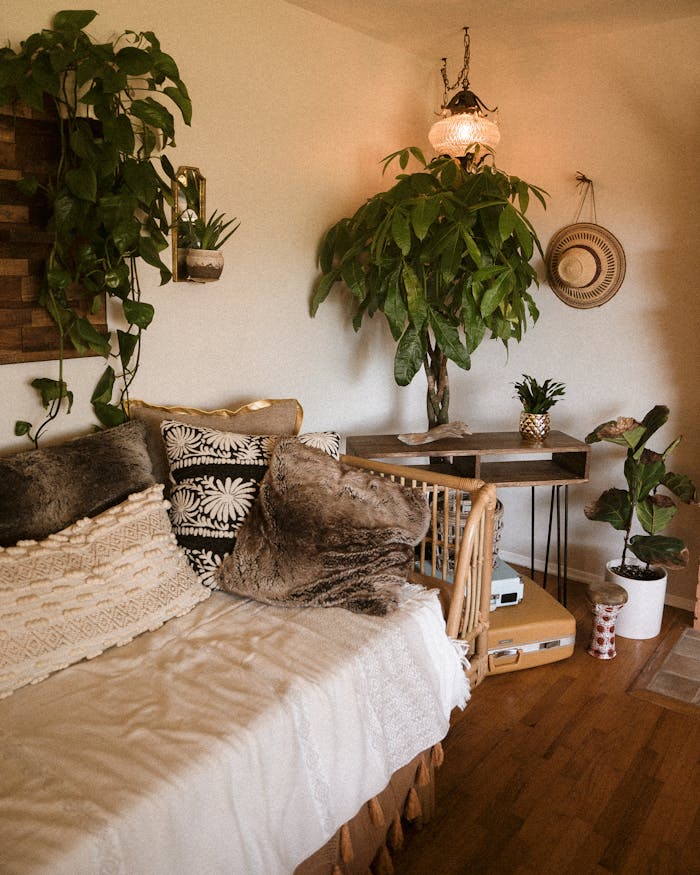 A warm, stylish boho living room featuring houseplants and wooden decor.